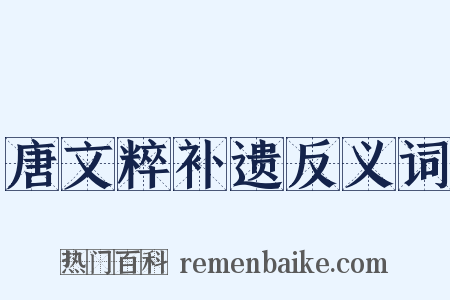 唐文粹补遗反义词是什么意思的图片